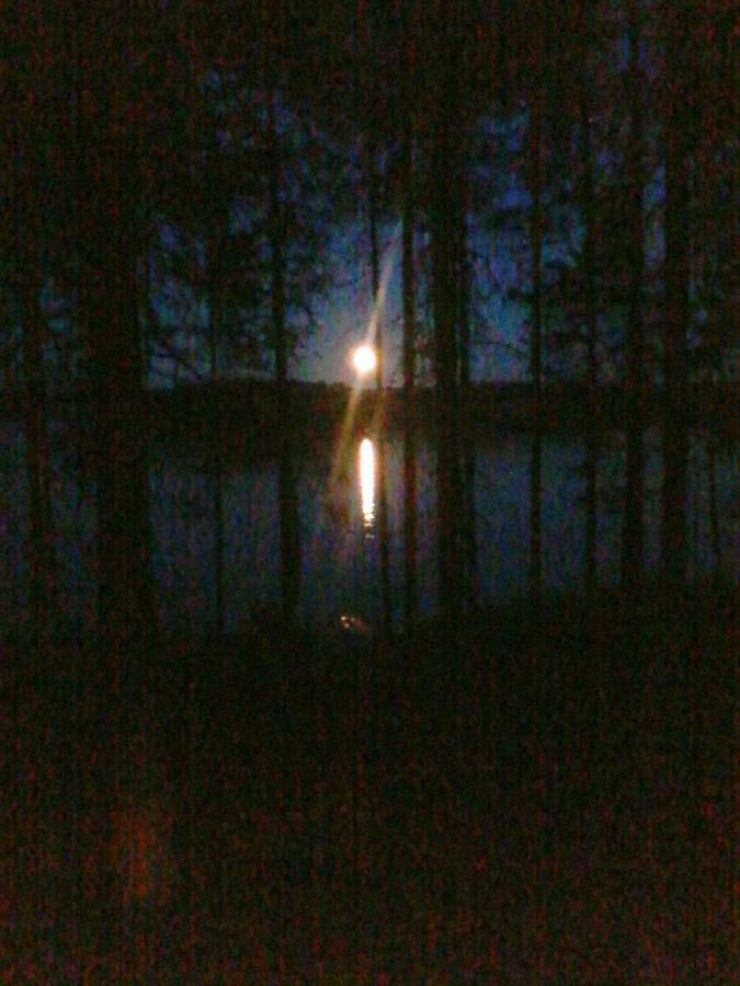 Villa Nina Luikonlahti Esterno foto